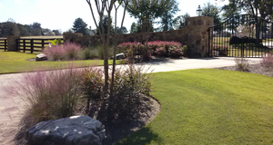 Gated Yard, Manicured Lawn