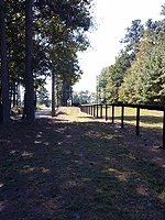 Fence in a Field