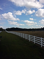 White Wooden Fence