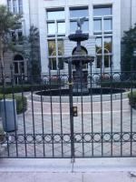Beautiful Fence Gate
