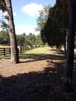 Wooden Fence